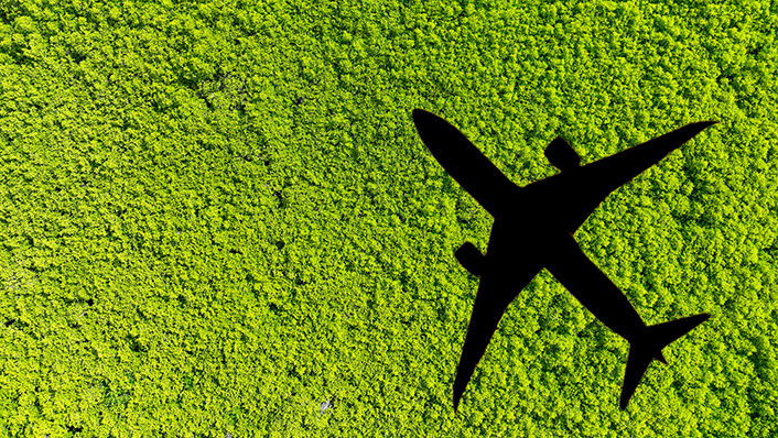 Image of feedstock with a shadow of an airplane