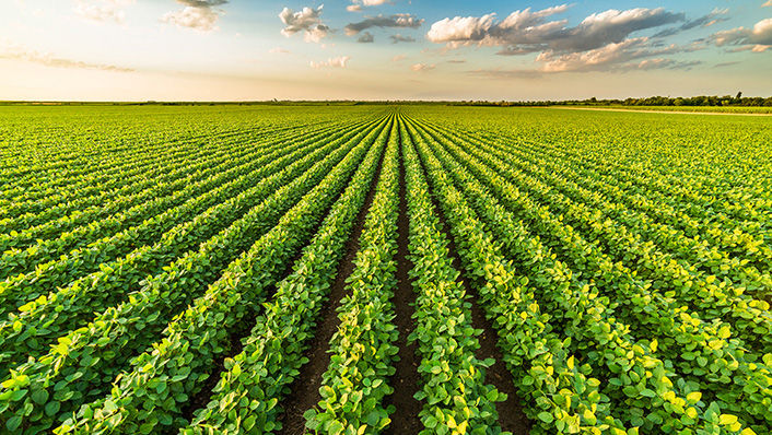 Three Ways Grace Helps Refiners with Feedstock Flexibility