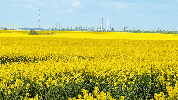 LUDOX® Colloidal Silica Plays Critical Role in Customized Catalysts 